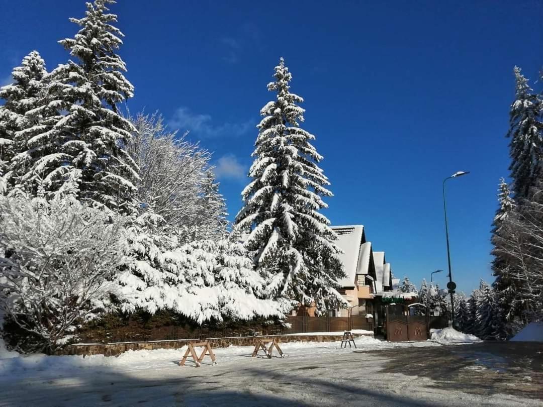 Pensiunea Colina Poiana Brasov Exterior photo