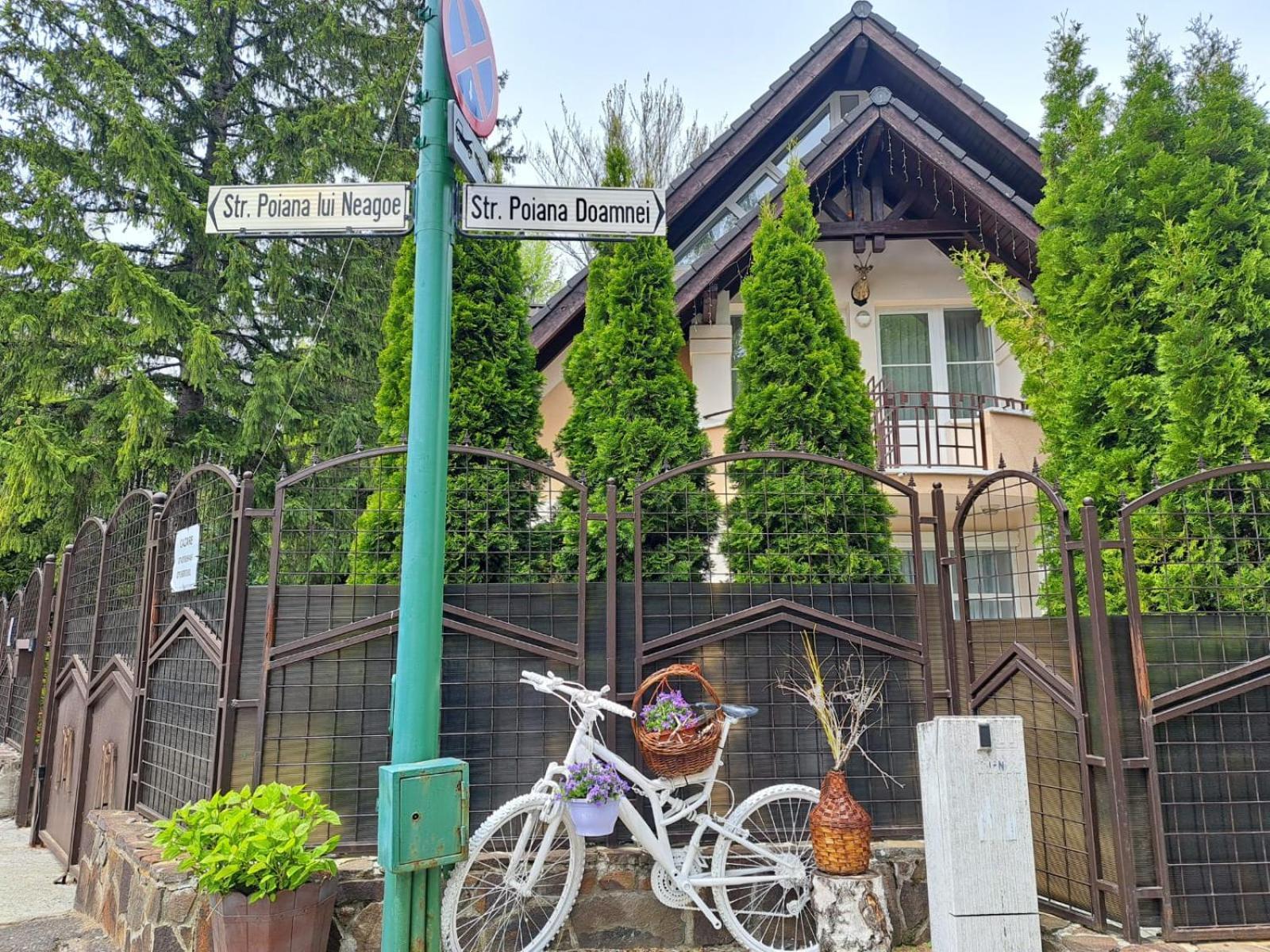 Pensiunea Colina Poiana Brasov Exterior photo
