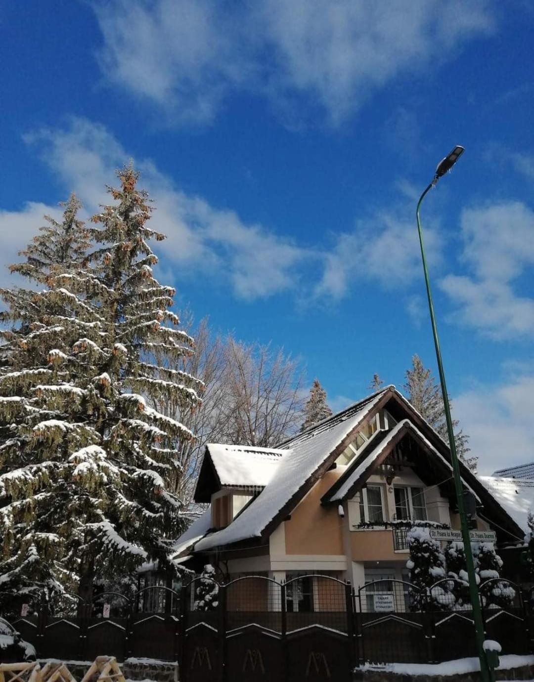 Pensiunea Colina Poiana Brasov Exterior photo