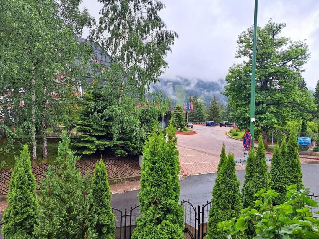 Pensiunea Colina Poiana Brasov Exterior photo