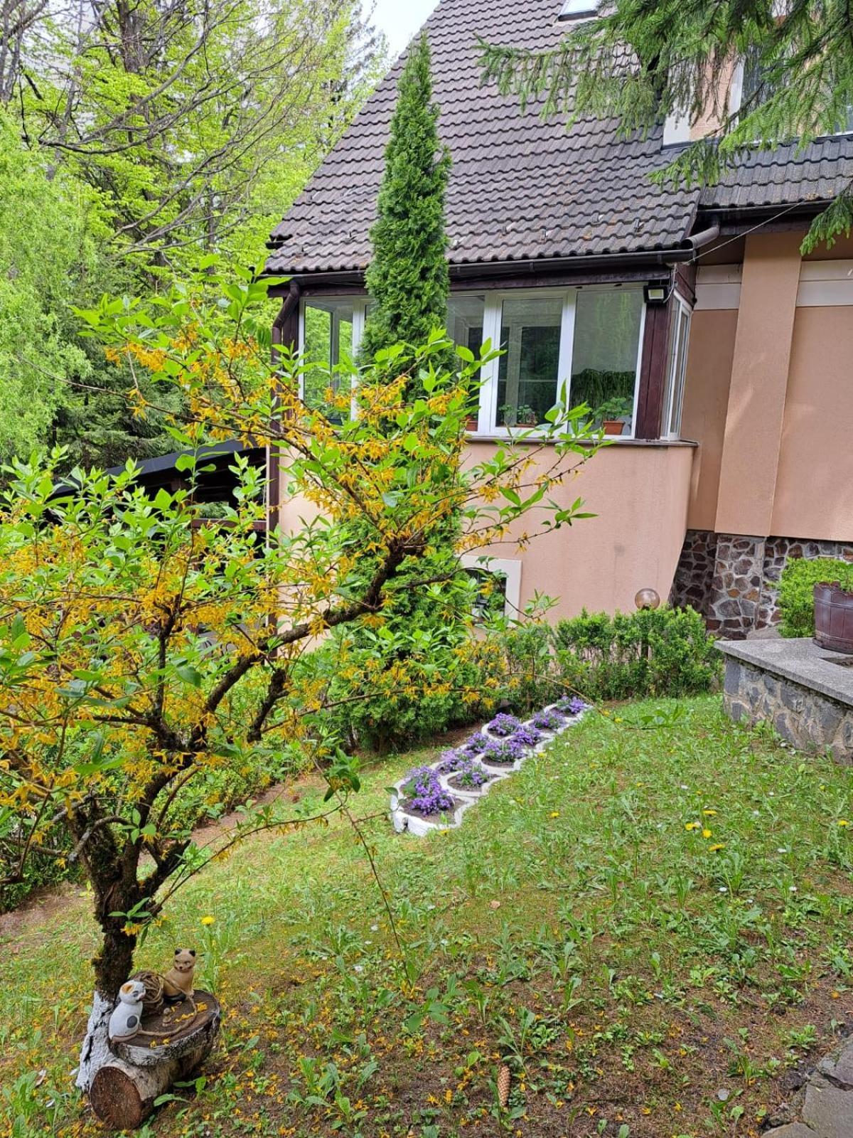Pensiunea Colina Poiana Brasov Exterior photo
