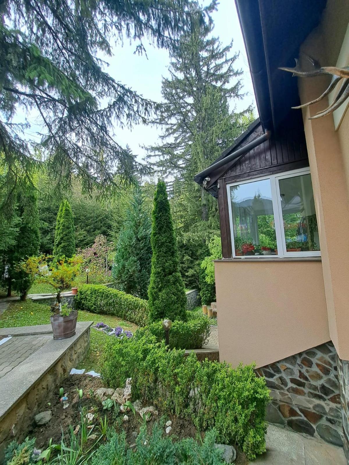 Pensiunea Colina Poiana Brasov Exterior photo