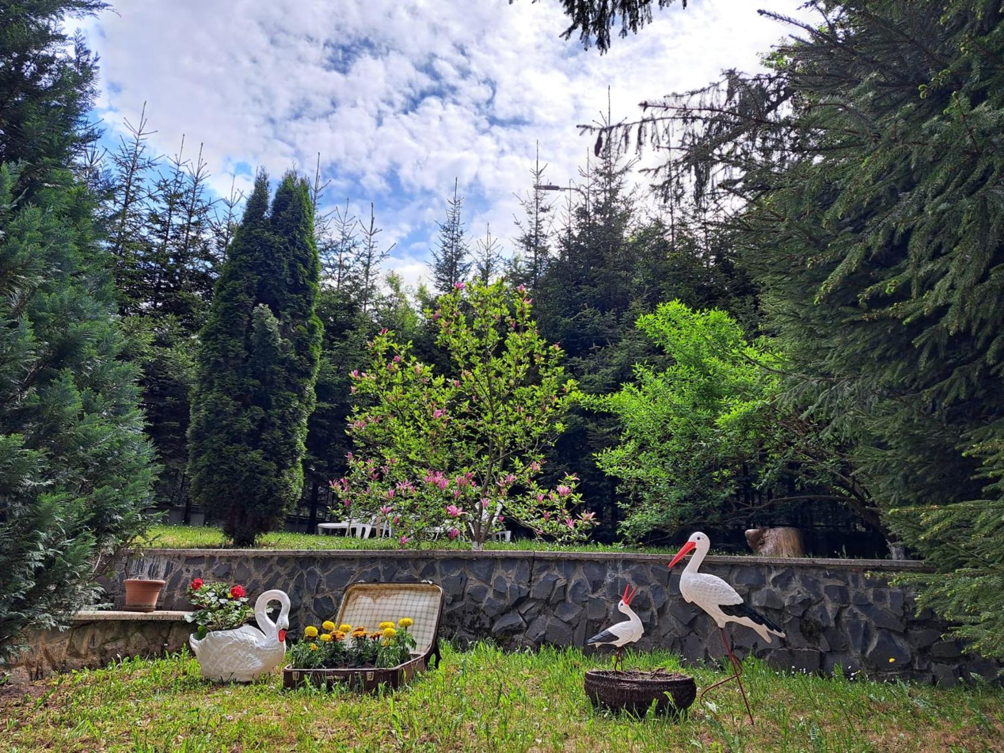 Pensiunea Colina Poiana Brasov Exterior photo
